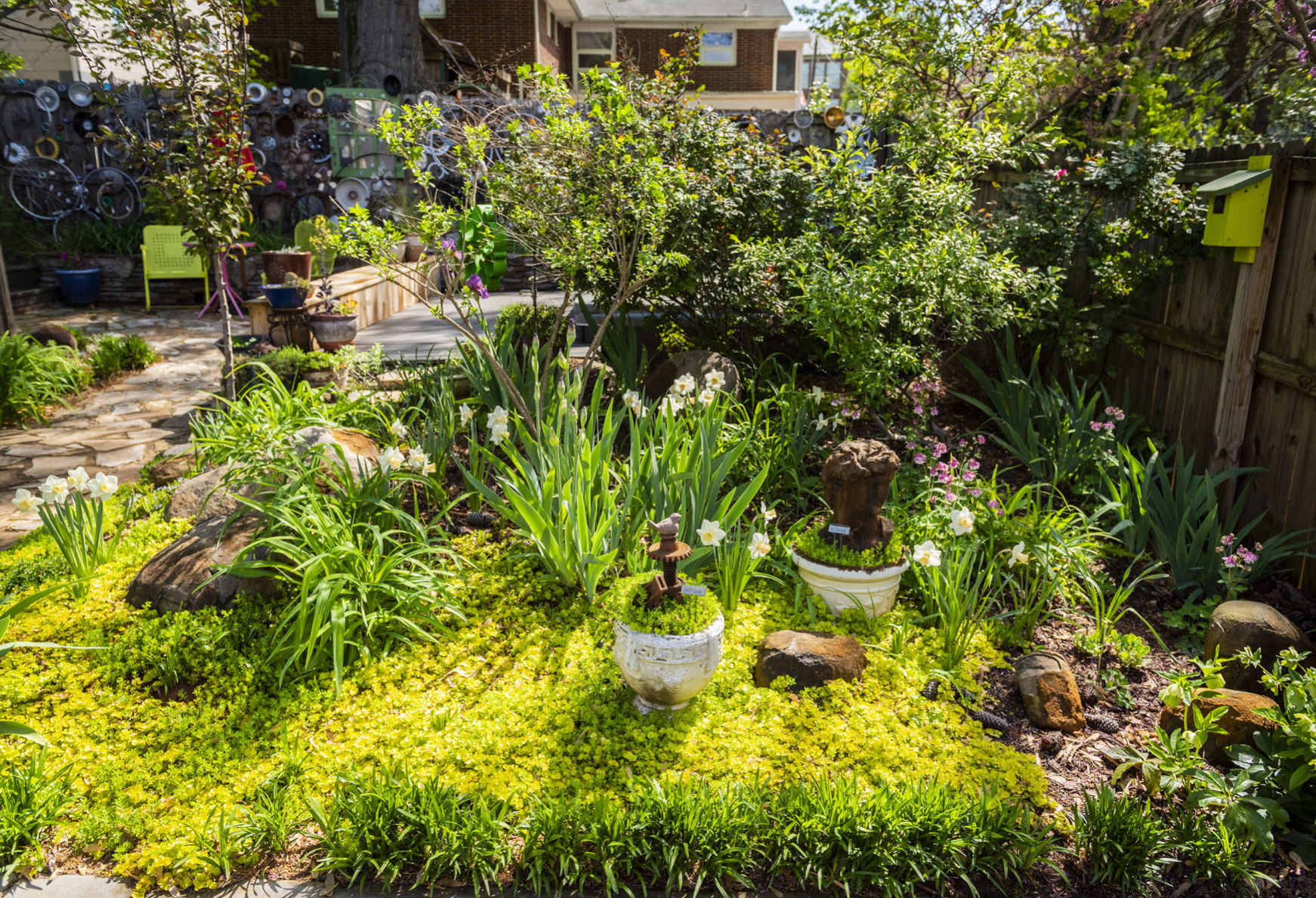 Garden